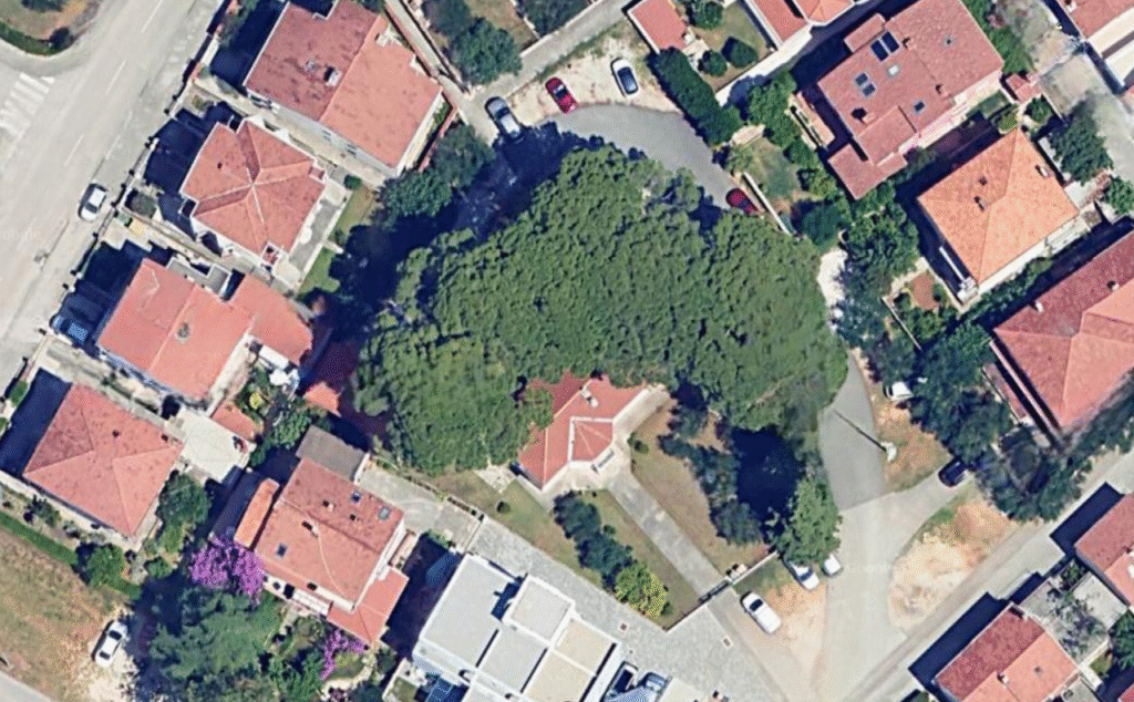 Kakva divna pobjeda građana: u Zadru zaustavili rušenje veličanstvenih stoljetnih pinija