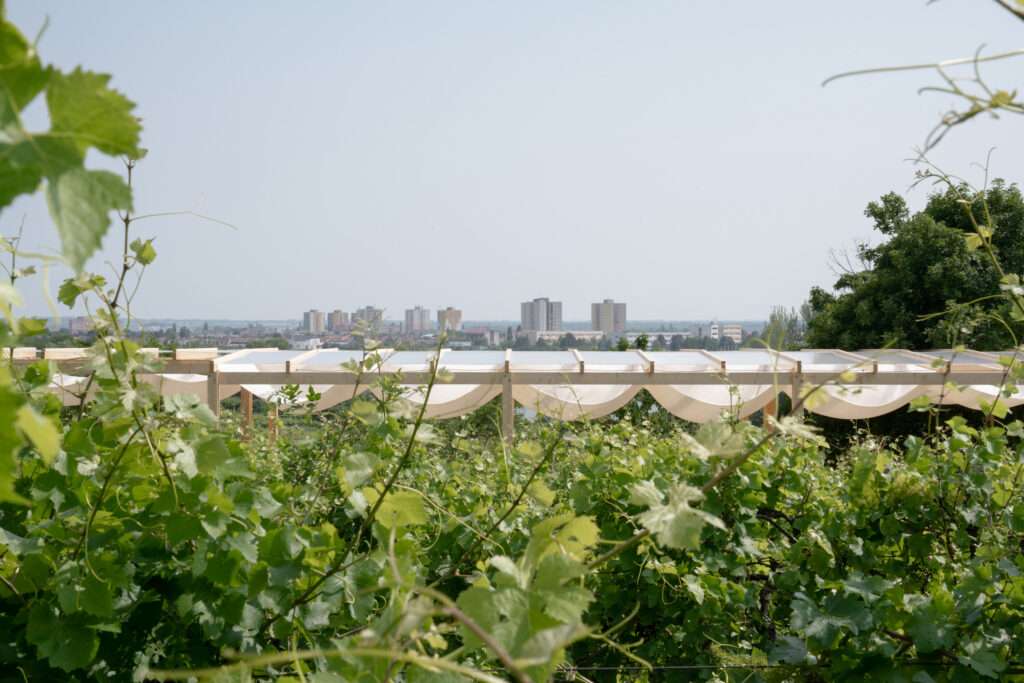 Kako bez agresivnih intervencija projektirati festival usred pitomog vinograda