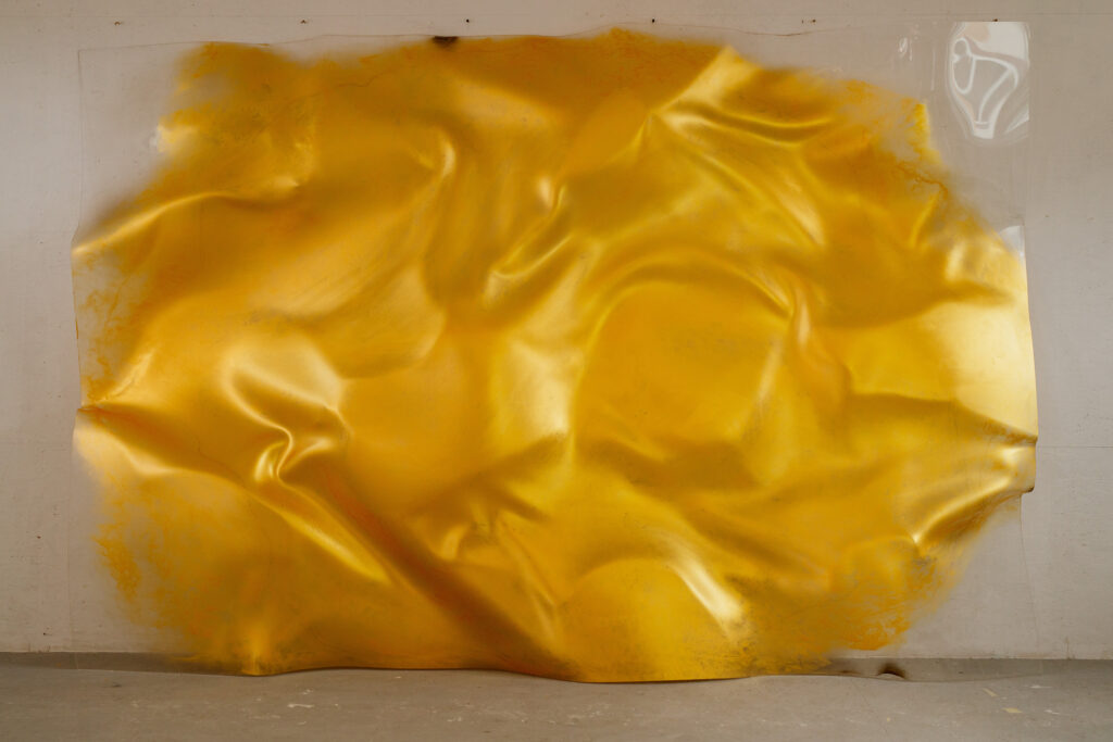 Predrag Todorović o 'Zlatnoj ljusci' – svjetlosti, promjeni i tišini u srcu prostora